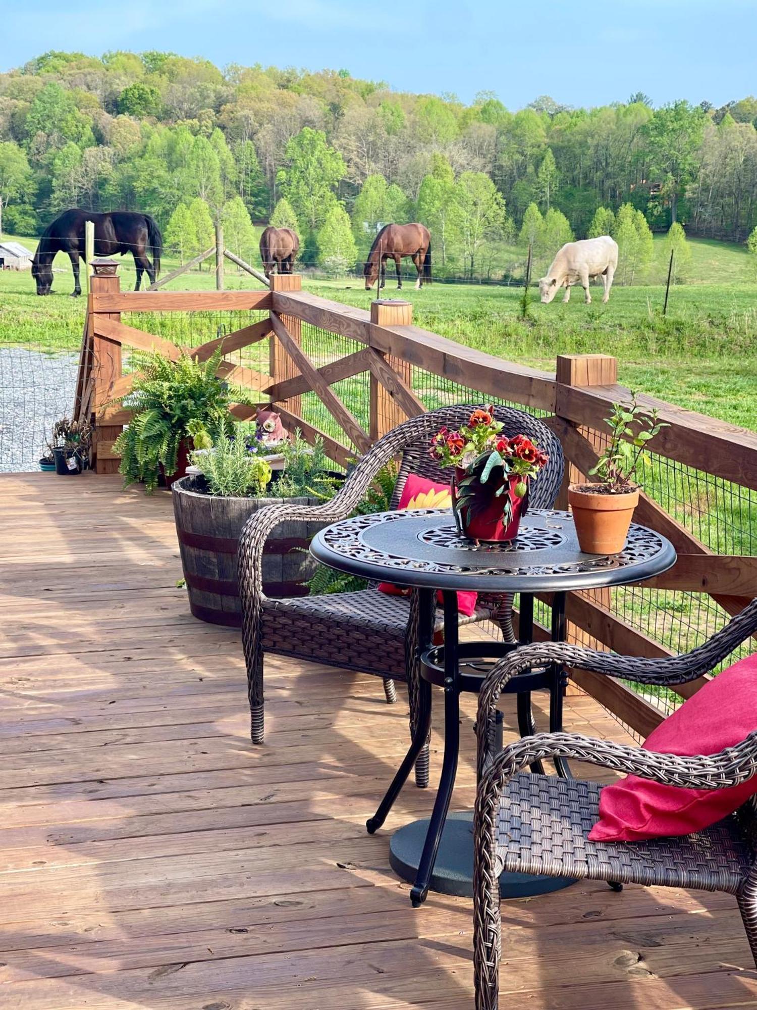 The Dogwood Inn ブルーリッジ山脈 エクステリア 写真